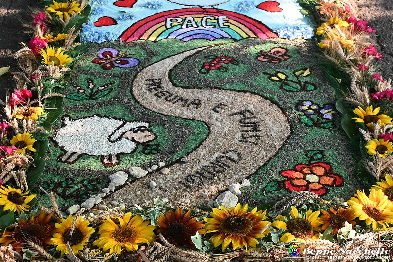 VBS_9772 - Infiorata Santuario della Madonnina di Villanova d'Asti 2024.jpg